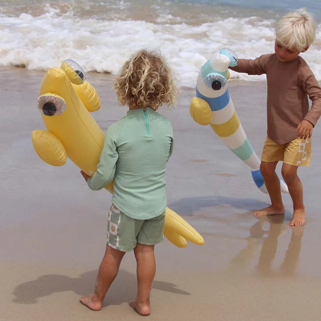 SUNNYLiFE Set of 2 Kids Inflatable Noodles Finn The Fish Multi