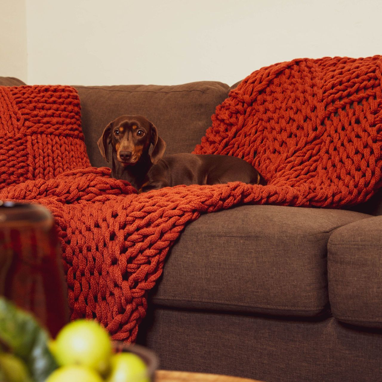 Meridian Throw and Cushion Cover Terracotta on couch with dog lifestyle