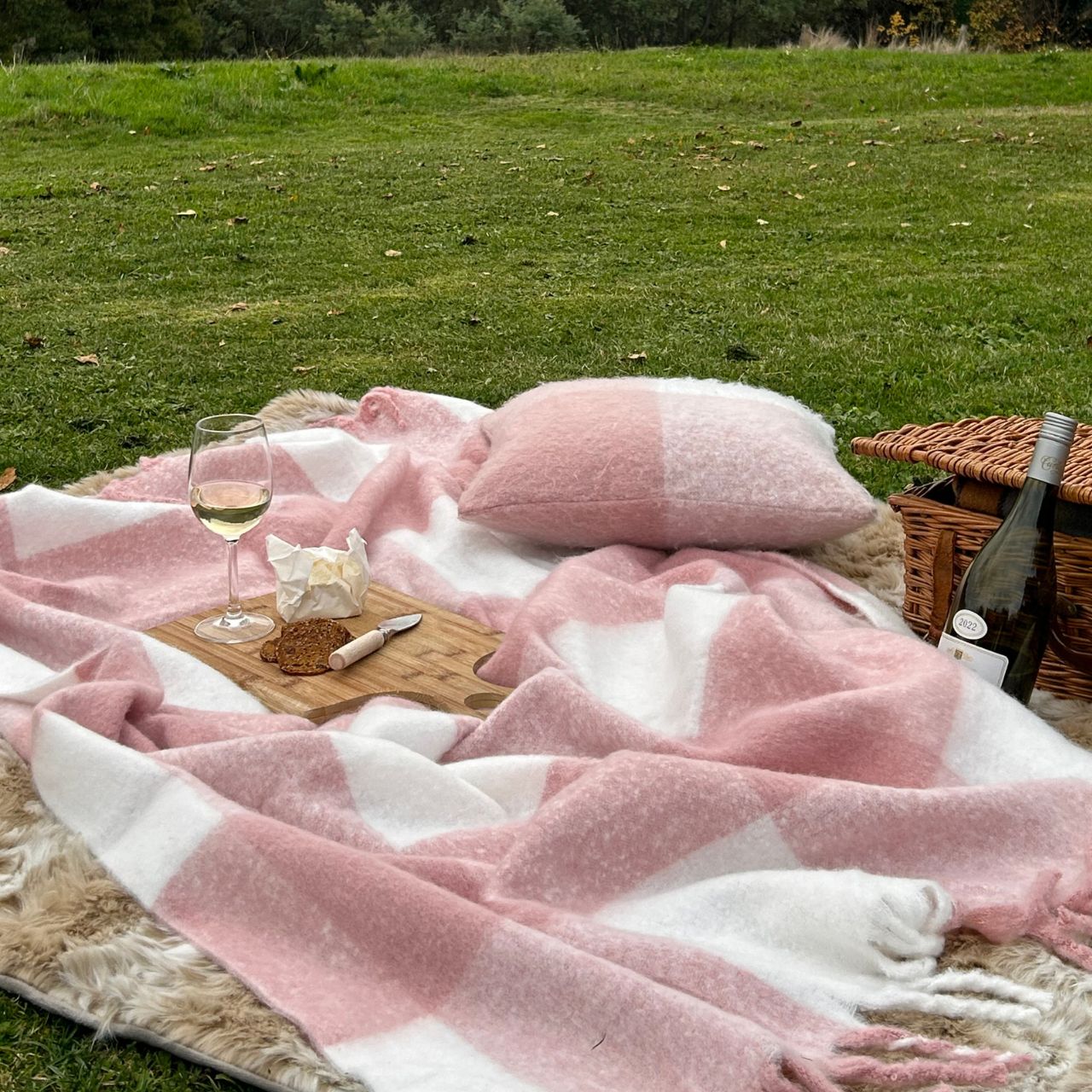 Penelope Throw and Cushion Cover Blush at a picnic lifestyle