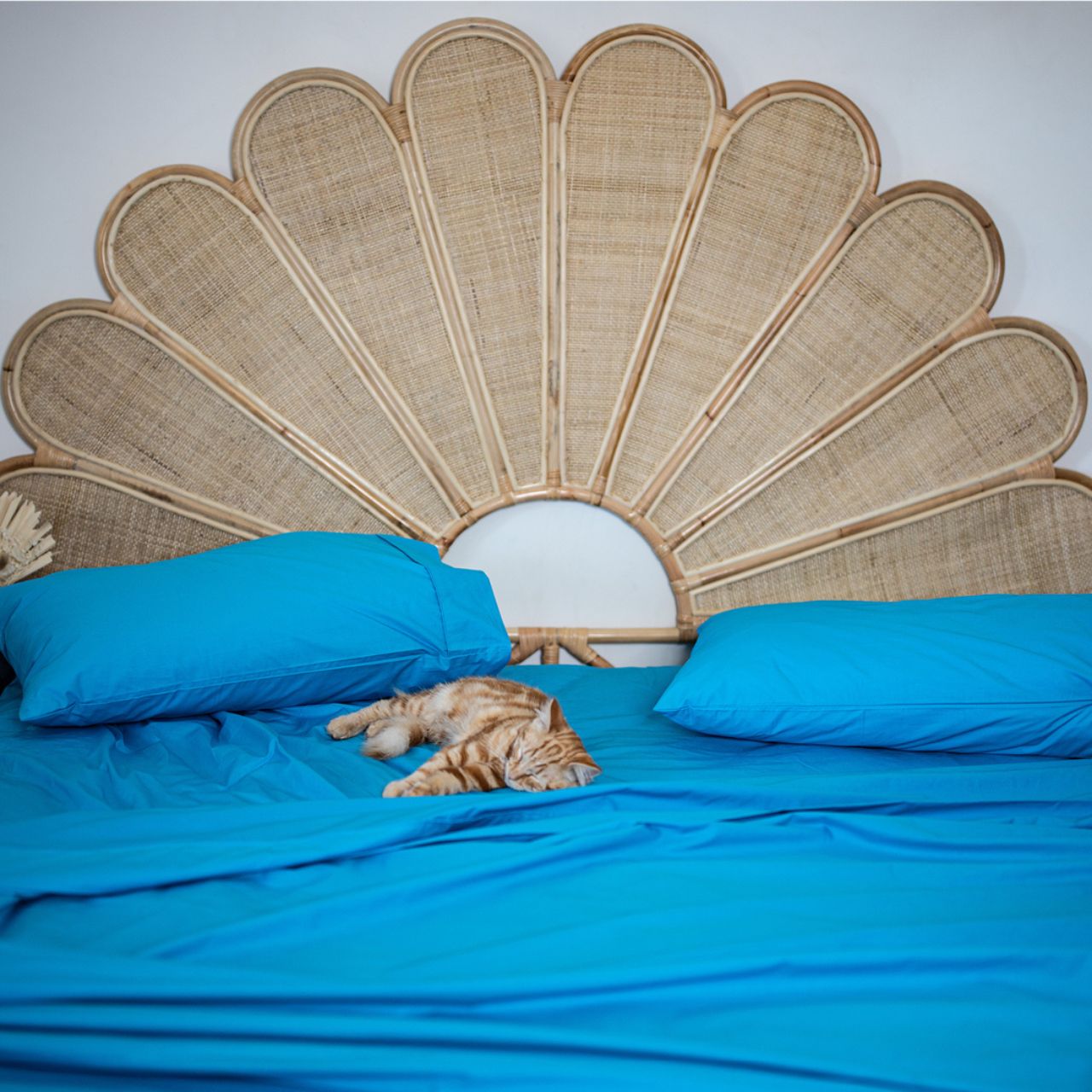 Premium Percale Sheets Ocean lifestyle shot