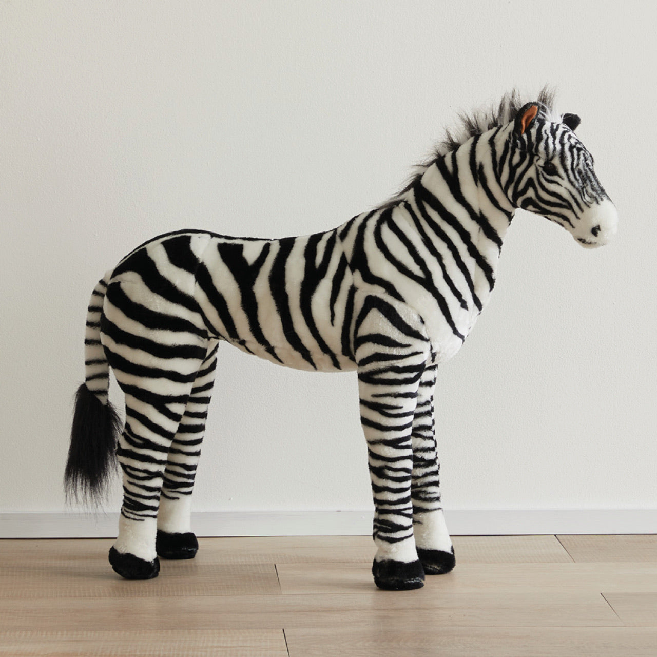 Zebra Standing Animal standing on floor